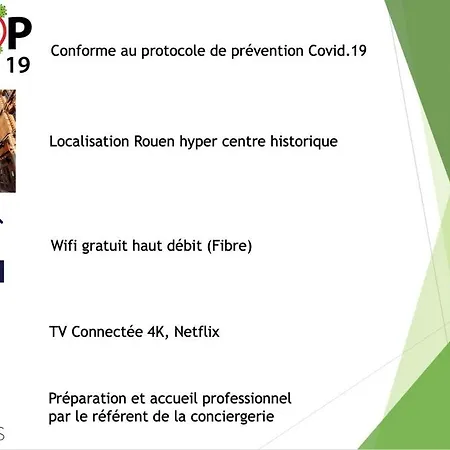 Apartment La Porte Cauchoise - Hypercentre Coquet Branche Rouen