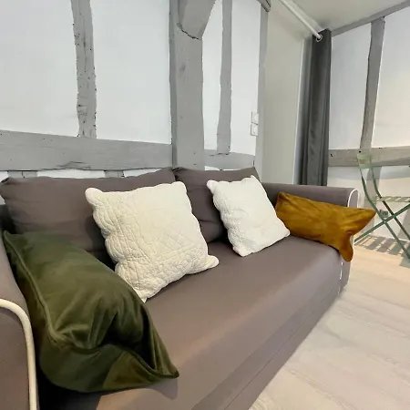 Apartment La Porte Cauchoise - Hypercentre Coquet Branche *