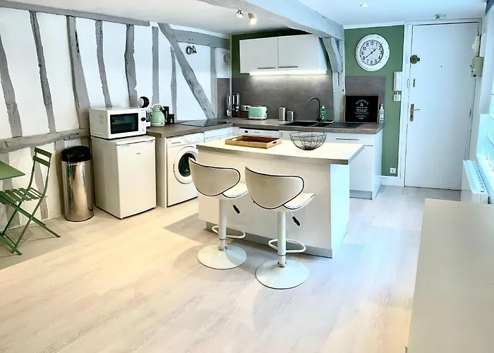 La Porte Cauchoise - Hypercentre Coquet Branche Appartement