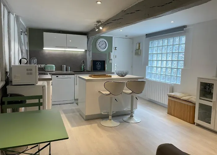 La Porte Cauchoise - Hypercentre Coquet Branche Appartement