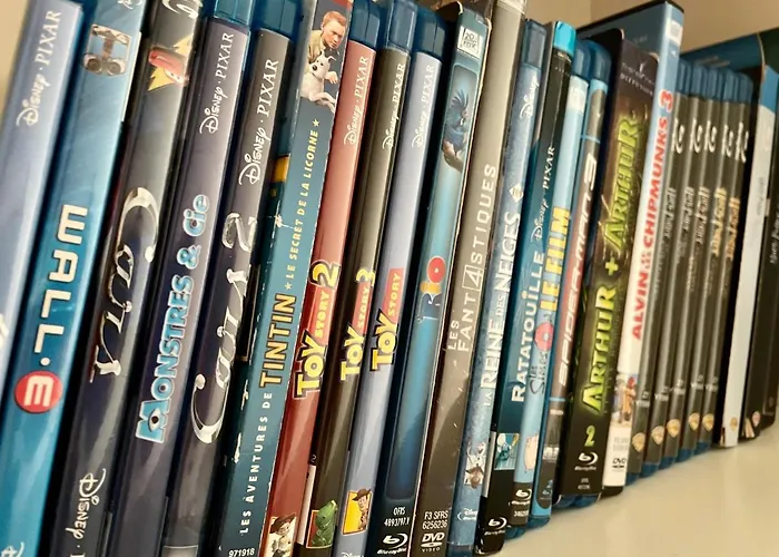 La Porte Cauchoise - Hypercentre Coquet Branche Appartement *