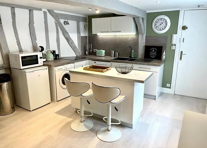 La Porte Cauchoise - Hypercentre Coquet Branche Appartement Rouen