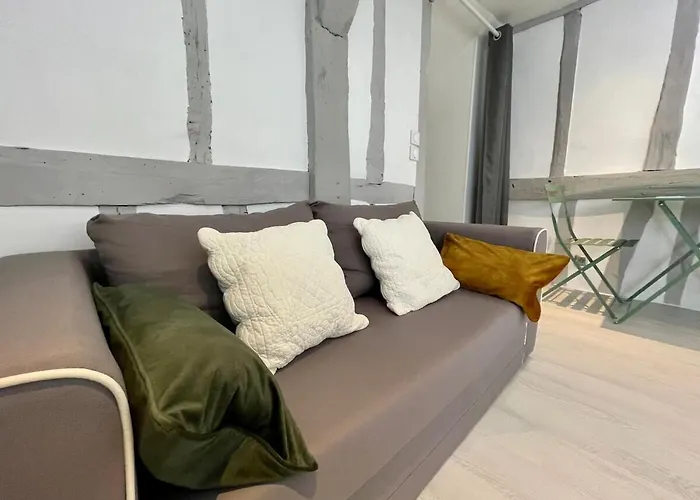 Appartement La Porte Cauchoise - Hypercentre Coquet Branche *